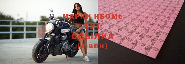 соль ск Бородино