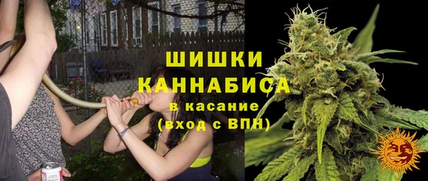 соль ск Бородино