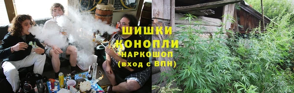 соль ск Бородино
