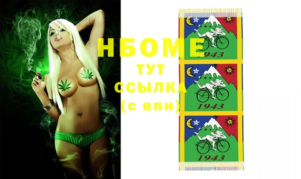 соль ск Бородино